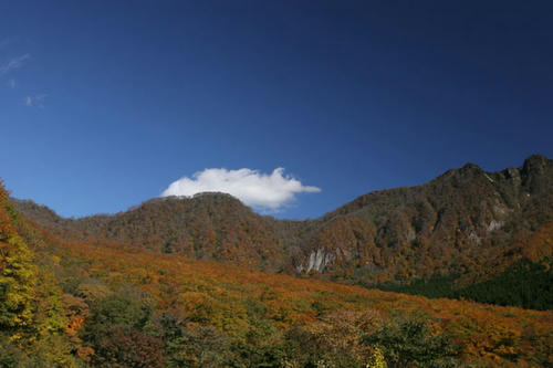 101105-04.jpg