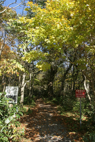 101105-06.jpg