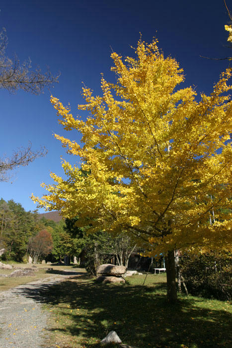 101106-06.jpg