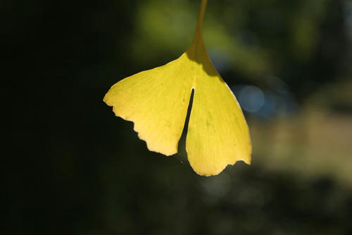 101106-07.jpg