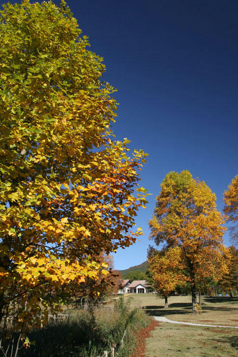 101107-01.jpg