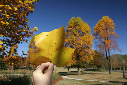 101107-02.jpg
