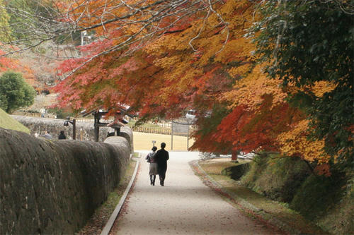 鯉（？）人と紅葉