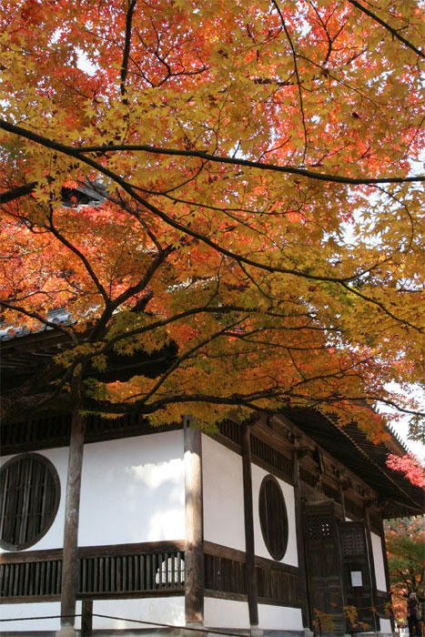 紅葉ノ寺