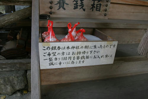 101125-02.jpg