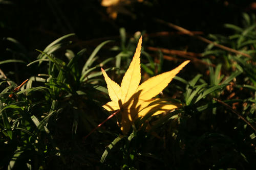 101201-03.jpg
