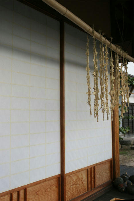 田舎の風景（冬）