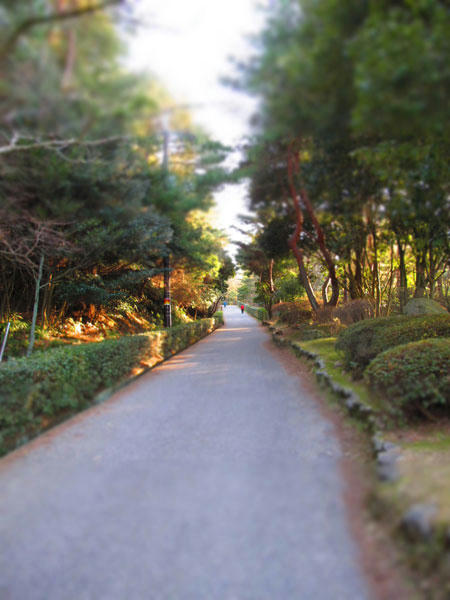 離れていても・・・