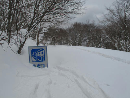 雪に埋まってる・・・