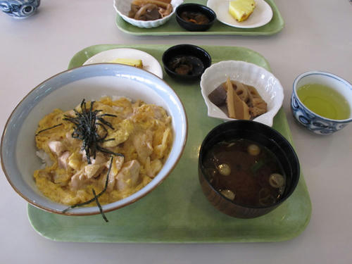 コーチン親子丼