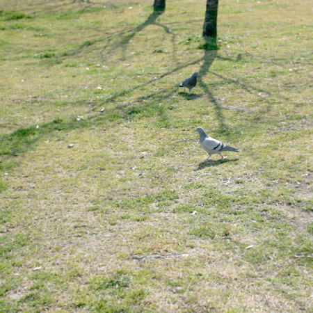 あなた と わたし