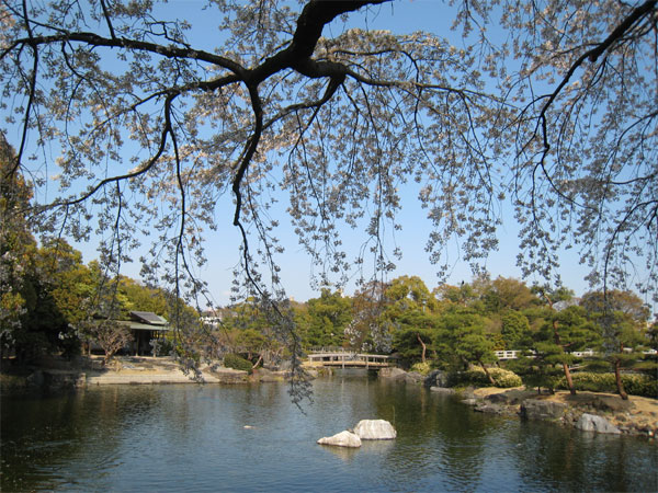 しだれ桜と庭園