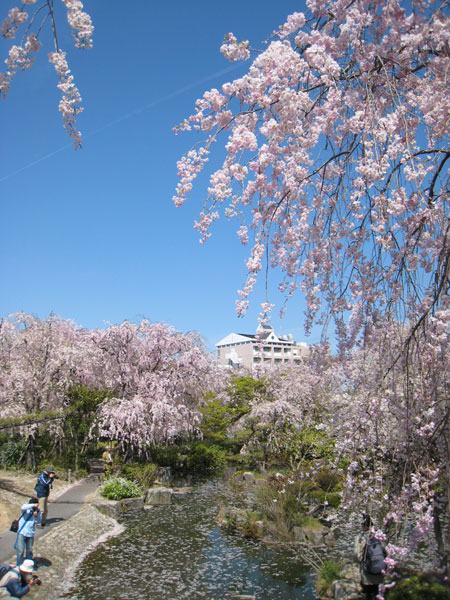 撮影日和