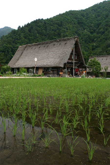 山里