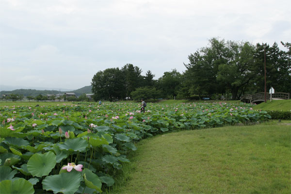水攻め公園