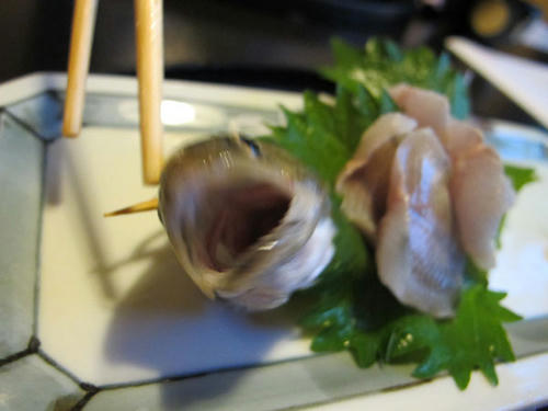 岩魚の逆襲