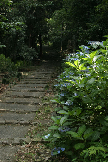 参道