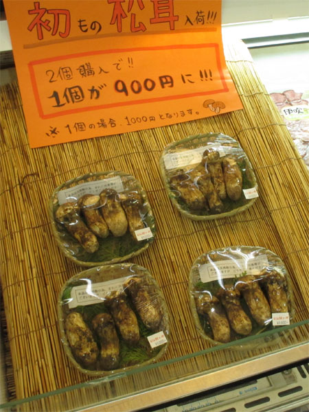 まつたけー