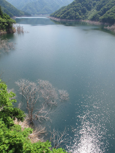 湖