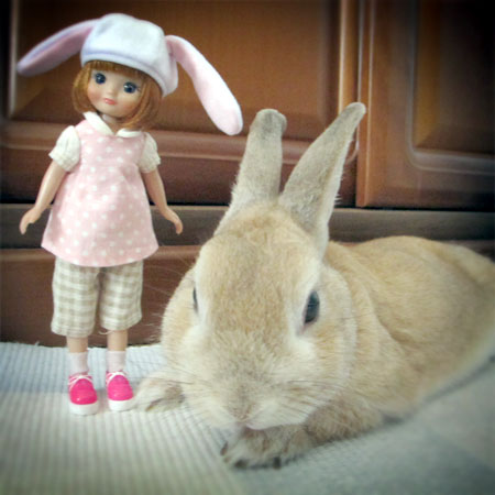 うさうさ