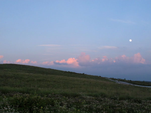 110814-01.jpg
