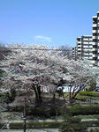 070405_1202~01.jpg