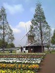 49d293e2.JPG