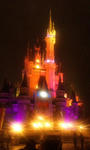 SH3E00230002.jpg