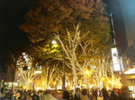 SH3E00360001.jpg