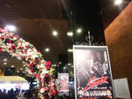SH3E0053.jpg