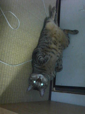P1000002.JPG