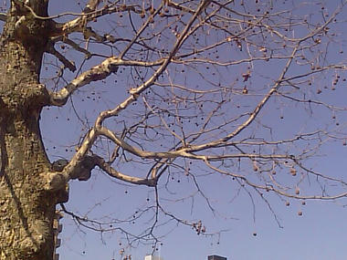 IMAG0021.jpg