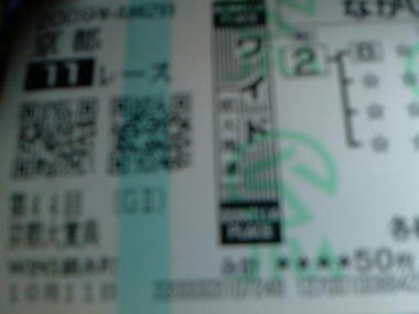 IMAG0345.jpg