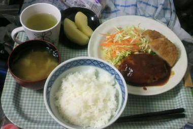 20110217.jpg