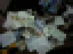 D1000090.jpg