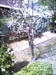 D1000020.JPG
