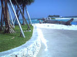 D1000572.JPG