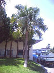 D1000584.JPG