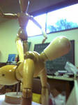 D1000742.JPG