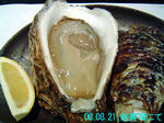 DSC03687_edited-1.jpg