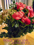 DSC03719_edited-1.jpg