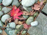 DSC03843_edited-1.jpg