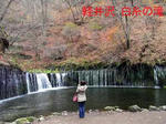 RIMG0830_edited-1.jpg