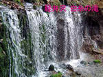 DSC03857_edited-1.jpg