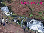 RIMG0847_edited-1.jpg