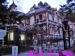 DSC03885_edited-1.gif