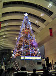 DSC03951_edited-1.JPG