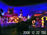DSC03988_edited-1.jpg