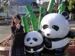 DSC04171_edited-1.jpg
