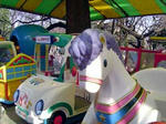 DSC04170_edited-1.jpg